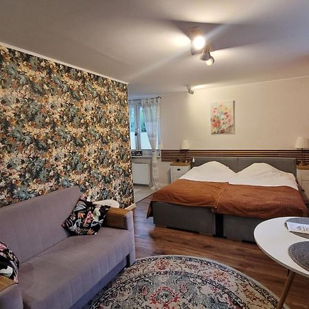 Nałęczów Apartament Przy Parku מראה חיצוני תמונה