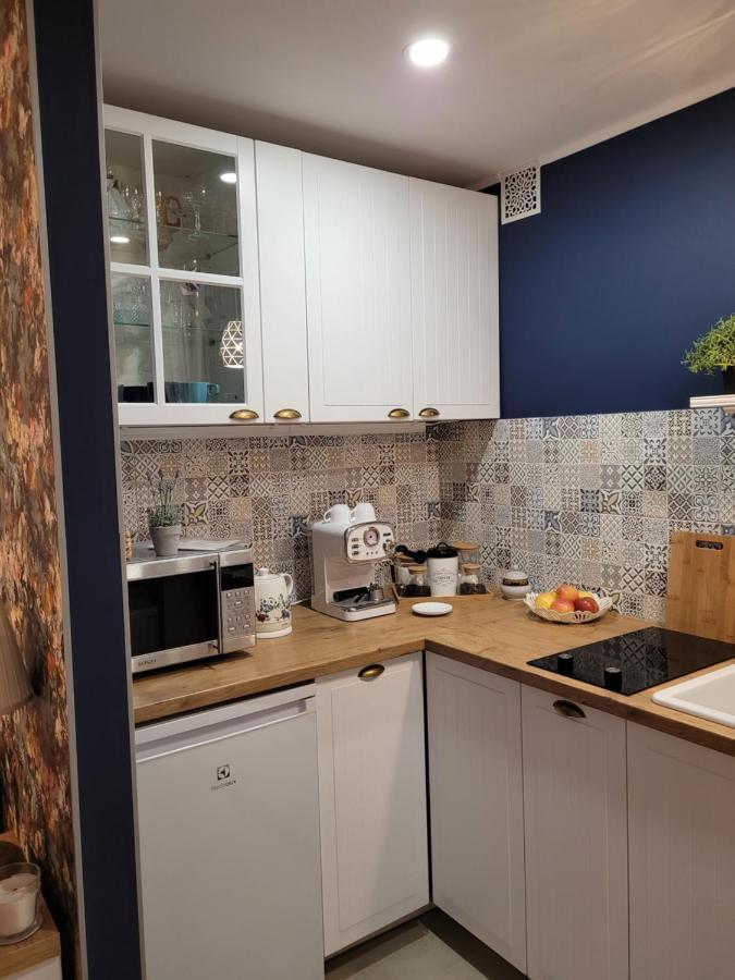 Nałęczów Apartament Przy Parku מראה חיצוני תמונה