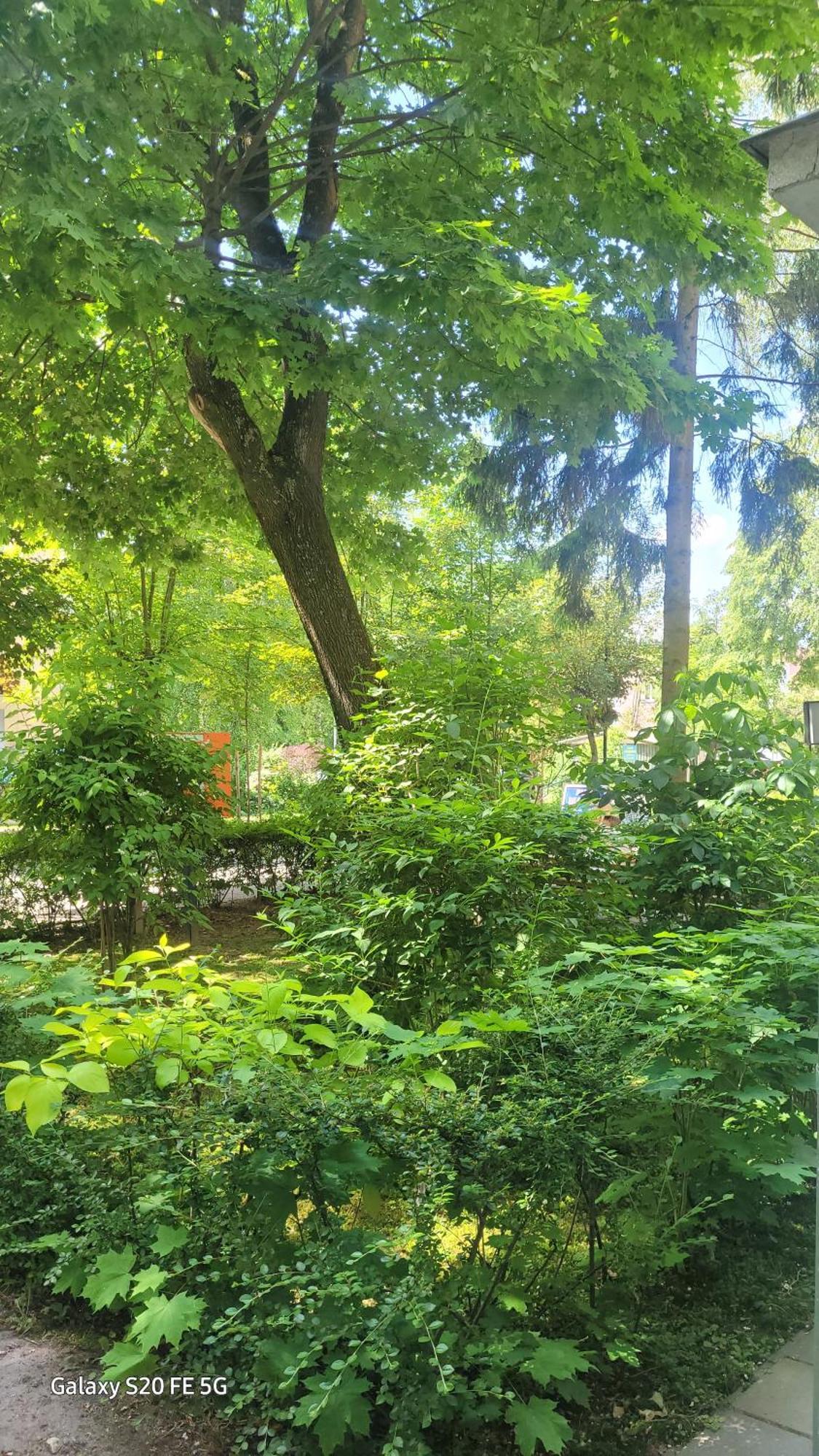 Nałęczów Apartament Przy Parku מראה חיצוני תמונה