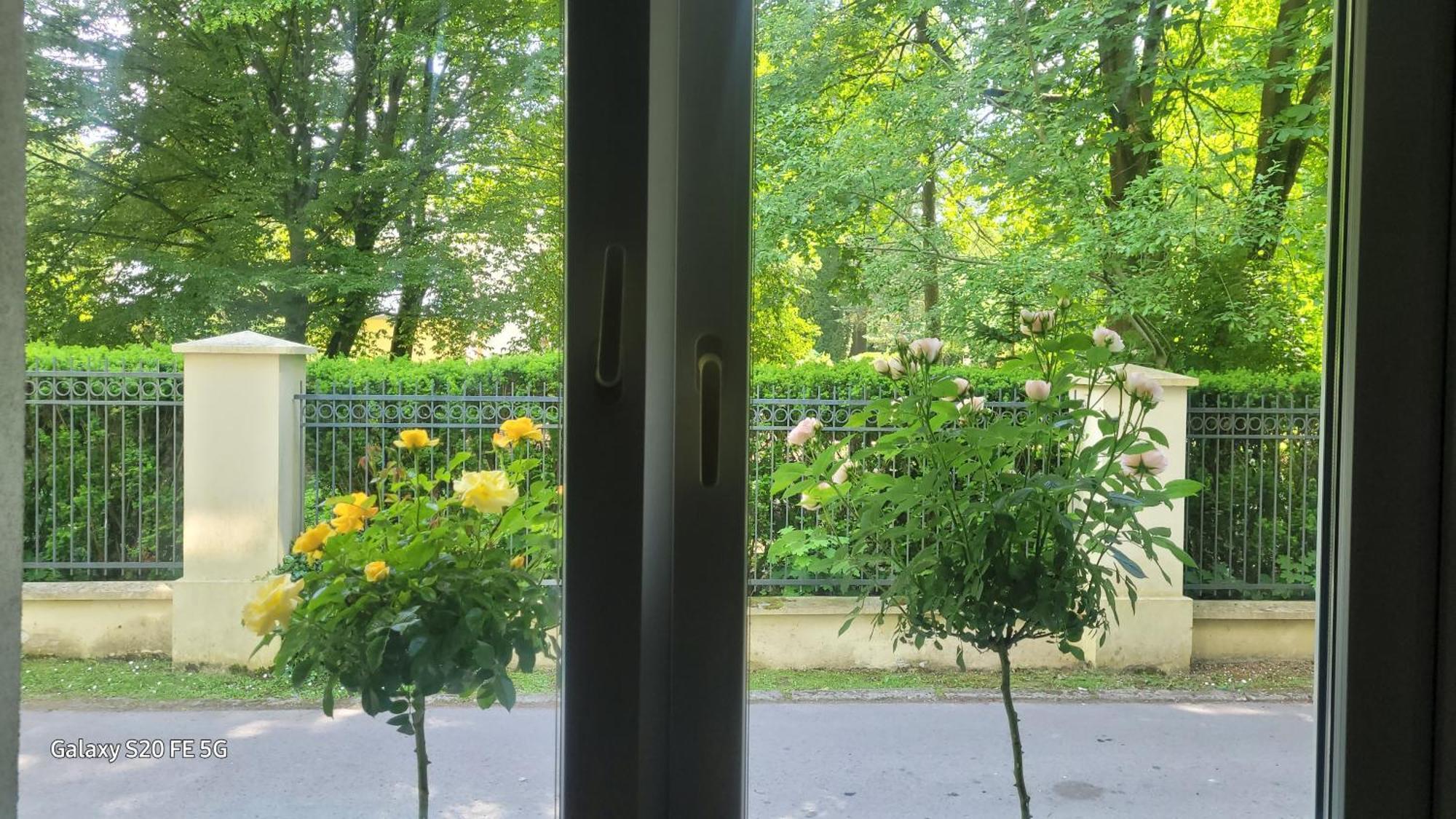 Nałęczów Apartament Przy Parku מראה חיצוני תמונה