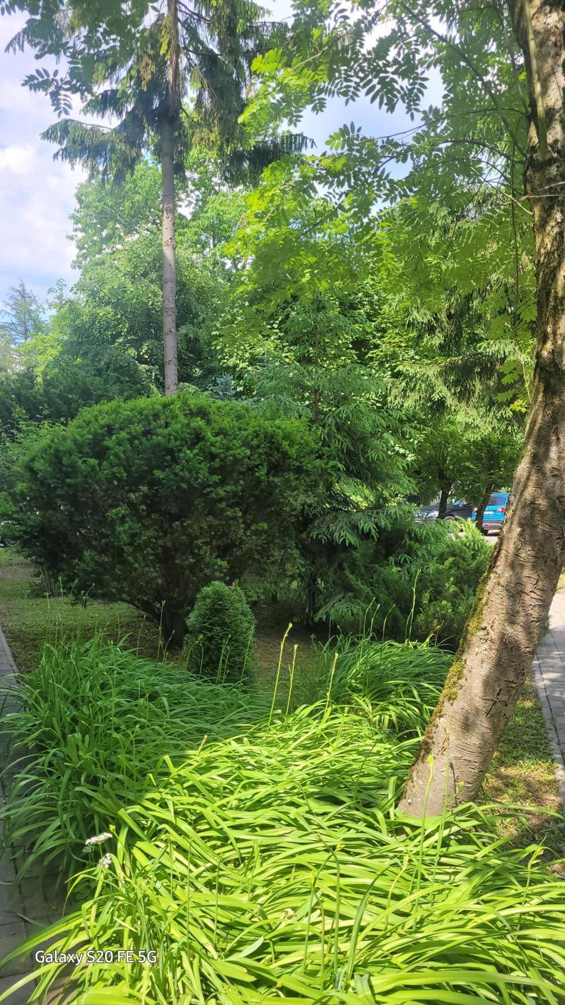 Nałęczów Apartament Przy Parku מראה חיצוני תמונה
